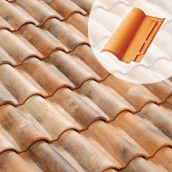 Tuiles Tuile Terre Cuite Romane Évolution Terreal 1RTE Vieilli Languedoc