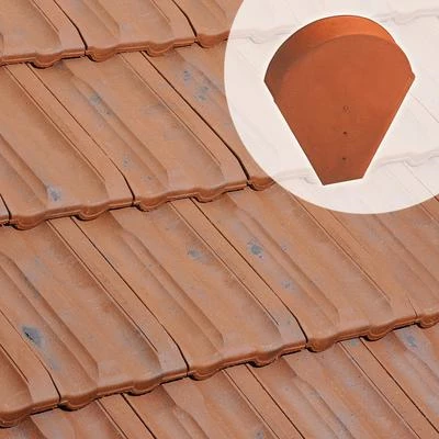 Edilians Tuiles Fronton Grand Modèle 804