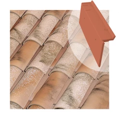 Tuiles Rive à Rabat Universelle Gauche Tejas Borja - Coloris Nature Lamalou