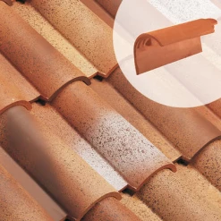 Edilians Tuiles Rive à Rabat Gauche AQUITAINE (111.71)