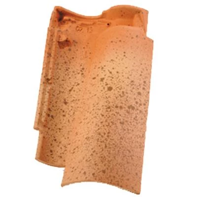 Tuiles Tuile Canal S à Emboîtement Terre Cuite Réf. 112 EDILIANS - Paysage – Image 2