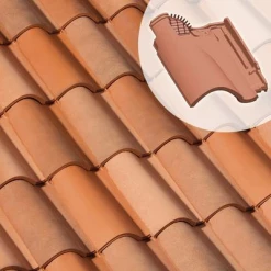 Monier Tuiles Tuile Chatière Feriane S0111