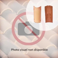 Biobric Tuiles Tuile Canal Terre Cuite Tradi'fix Tegula 46 - Vieilli