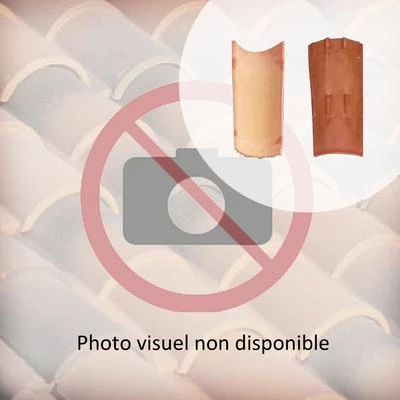 Biobric Tuiles Tuile Canal Terre Cuite Tradi'fix Tegula 46 - Vieilli