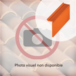 Terreal Tuiles Rive Ronde Droite (10XG)