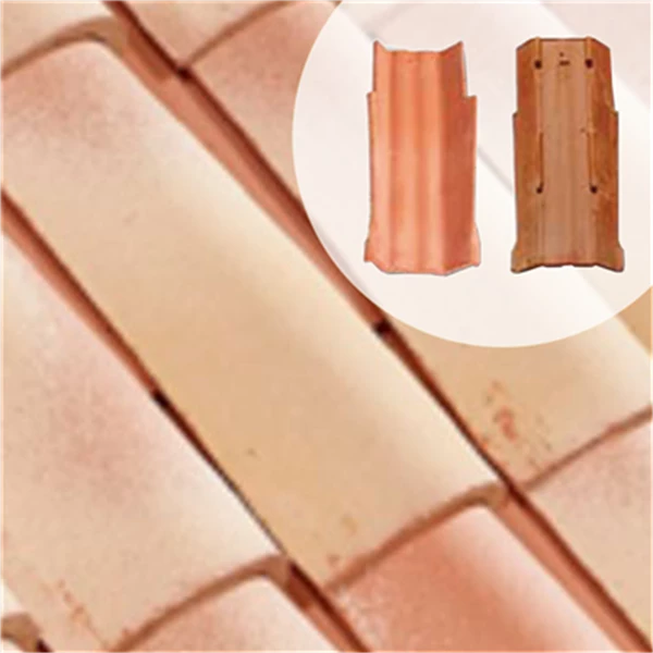 Biobric Tuiles Tuile De Rive Fond Plat Charentes - Corail